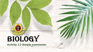 Form 4 (Activity 3.2)