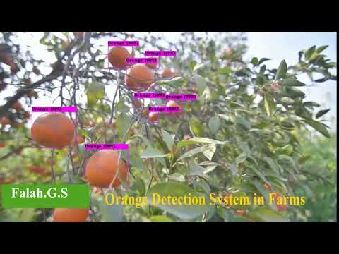 Orange Detection System in Farms