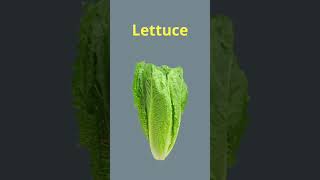 Lettuce / Cabbage