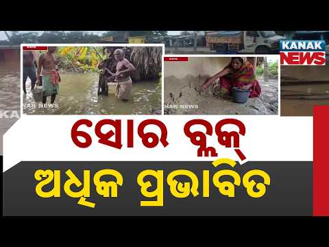 Balasore Flood Update | Water Recedes but Misery Continues in Soro Block