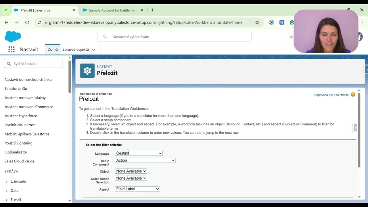 How to Use Salesforce Translation Workbench Tutorial | Translate Fields & Labels