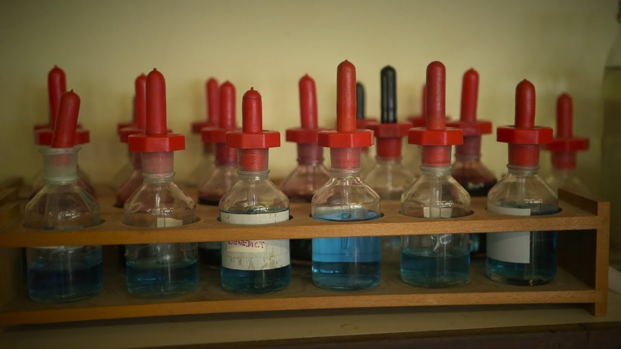 Gwyddoniaeth a Thechnoleg / Science and Technology