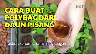 Tips Berkebun Di Pekarangan Rumah: Cara Membuat Polybag Daun Pisang