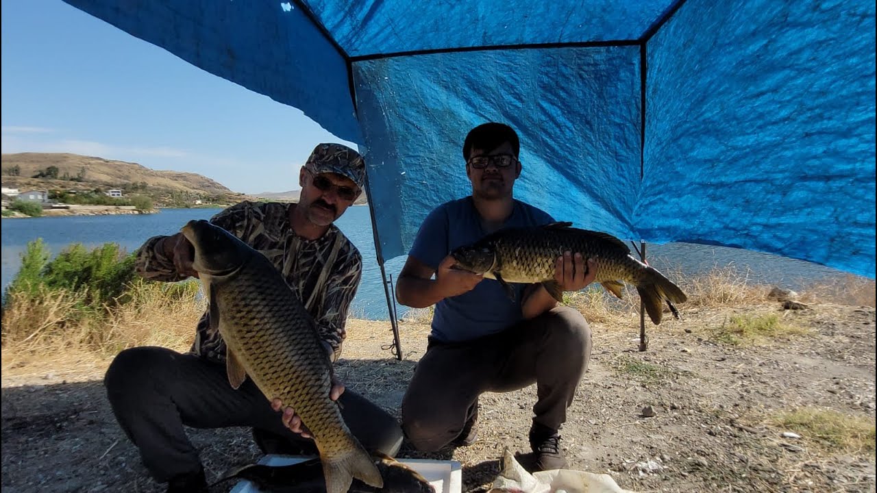 Heyecanlı trofe sazan avı (Jandarma Geldi !!!) #fishing  #sazanavı ı #trofe  #sazan