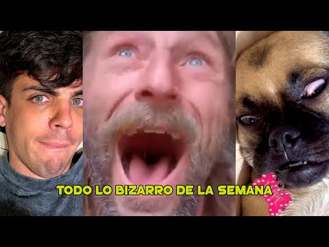 Todo lo BIZARRO de la SEMANA