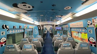 機場快綫 CAF-Train E103/K403 青衣至九龍 (大熊貓主題列車)