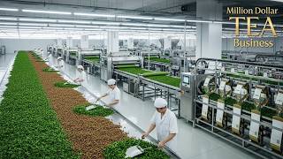 Inside the Tea Factory: How Fresh Leaves Become Premium Tea Bags (Full Process Documentary)
