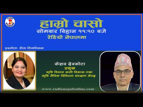 हाम्रो चासो २०८३ असार १५  गते  ll with Keshab Devkota ll