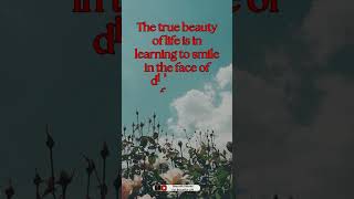 Heart Touching Words | Beautiful Words For Beautiful Life | #hearttouchingwords  #englishquotes