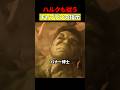 アベンジャーズとハルクの関係　#映画 #考察