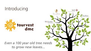 Tourvest Dmc - Stronger Together Resimi