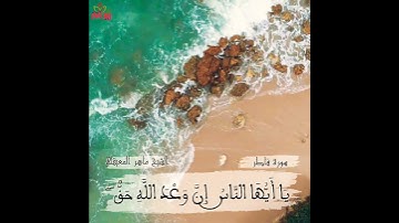 إن وعد الله حق//سورة فاطر//الشيخ ماهر المعيقلي//حالات.ستوري..