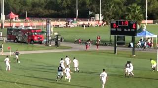 Turk Disney Highlights