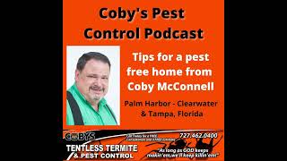 Florida and Pinellas County Have Carpenter Ants