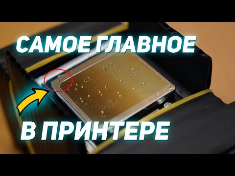 Печатающая головка Epson XP600 -DX11- - Где купить?