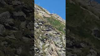 Скала Чёрная Пирамида Кавказ гора Аибга курорт Красная Поляна Сочи 05.09.25