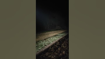 Convoy S2+ Triple Nichia 219B 4500K SW45K D220 5A 12 Group 55 Mode Driver (Opt. Throw 100m+)