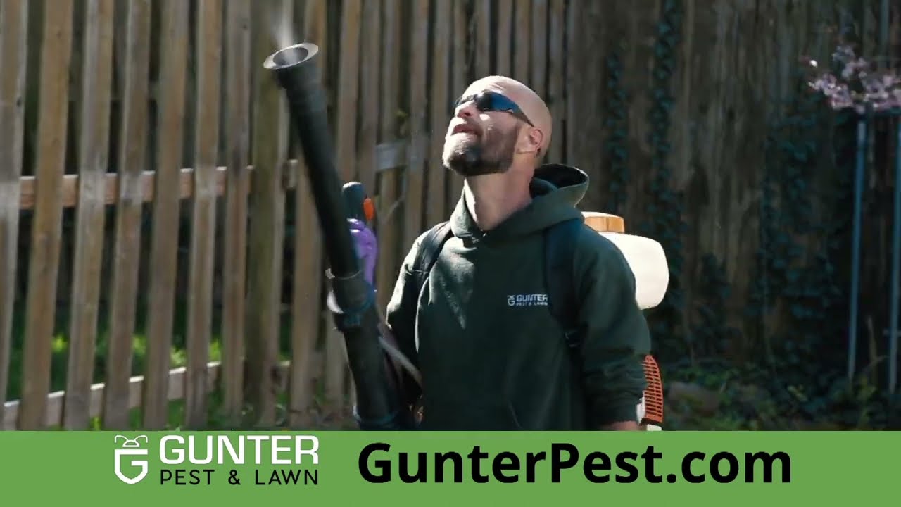 Gunter Pest & Lawn | Local Kansas City Pest Control | Termites and Mosquitoes