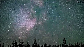 The 2024 Perseid Meteor Shower