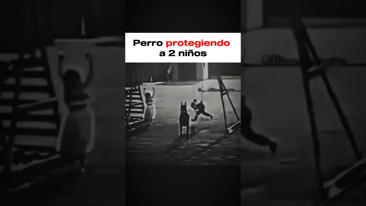 Perro protegiendo a dos niños 