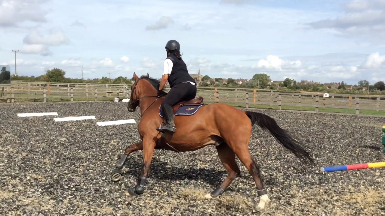 Archers farm group 3 YouTube