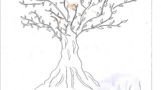 PERSONALITY AND TREE TEST