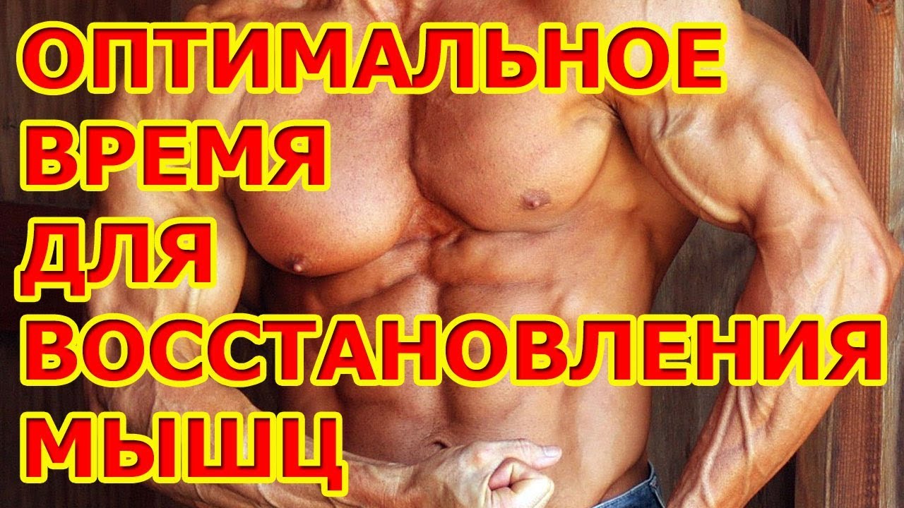 ОПТИМАЛЬНОЕ ВРЕМЯ ДЛЯ ВОССТАНОВЛЕНИЯ МЫШЦ