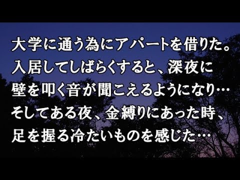 【修羅場　洒落怖】大学に通う為にアパートを借りた。入居してしばらくすると、深夜に壁を叩く音が聞こえるようになり…【修羅場・洒落怖のぞき見チャンネル】