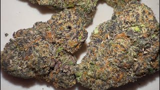 Alien Runtz Strain Review : StrainAfterStrain