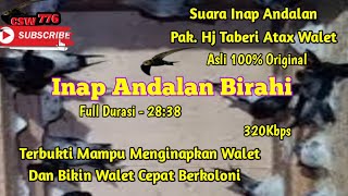 SUARA INAP ANDALAN BIRAHI ORIGINAL BY ATAX WALET - SUARA INAP WALET BIRAHI TERBAIK PALING RESPON