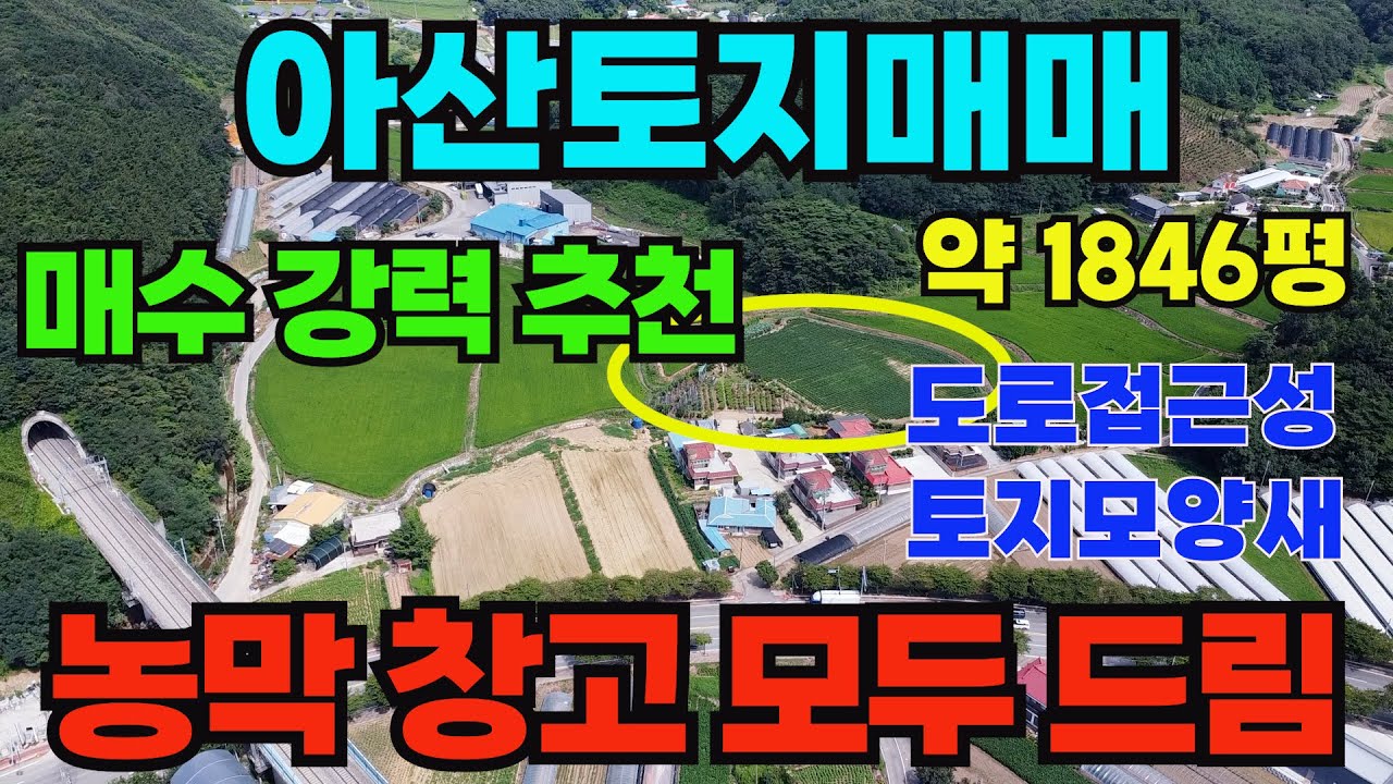 [매물359]아산토지매매, 도로 접근성 최상, 토지모양새 최상, 귀농 귀촌 쉼터, 농막 창고 모두 드림, 너무 잘 가꾸어진 농장