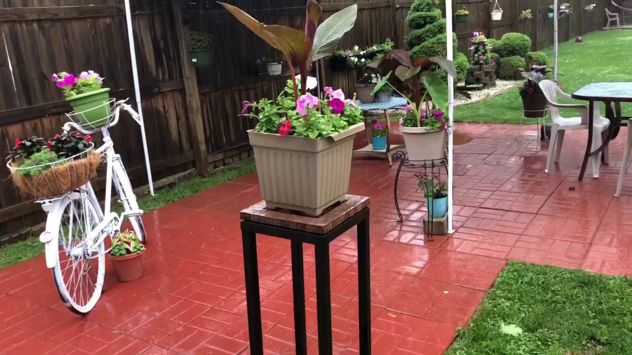 Estragos de las lluvias/ Desastre en mi patio - YouTube