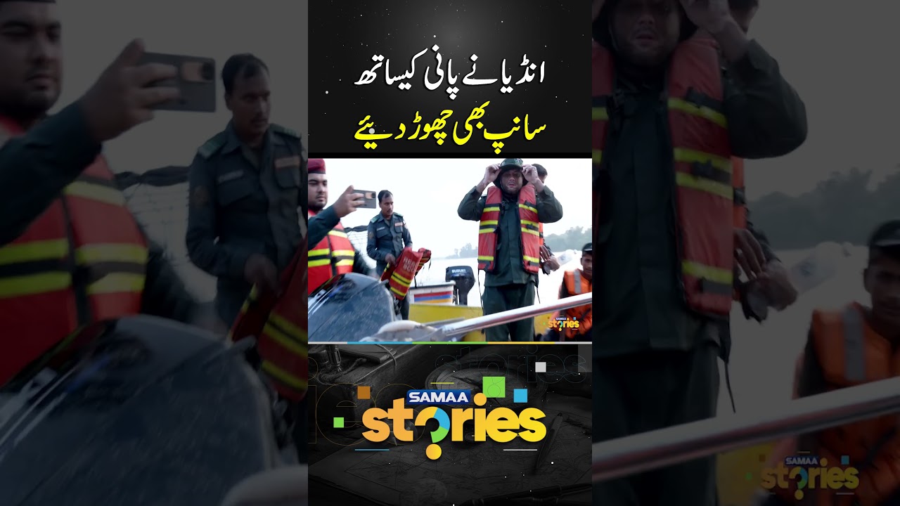 Snakes Begin to Flow In with Floodwater in River Ravi | Samaa Stories