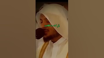 قران كريم ايات تريح القلب اجمل صوت قران كريم #هيثم_دخين #quranhearts