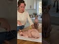 The cat realizes it's a fake cake and takes revenge on the woman🍰🤣#shorts #cat