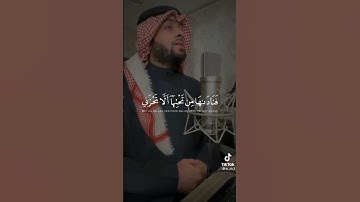 تلاوة هادئة من القارئ أحمد النفيس