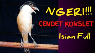 NGERI CENDET KONSLET ISIAN KUNTILANAK, TENGKEK BUTO, KAPAS TEMBAK, GEREJA TARUNG