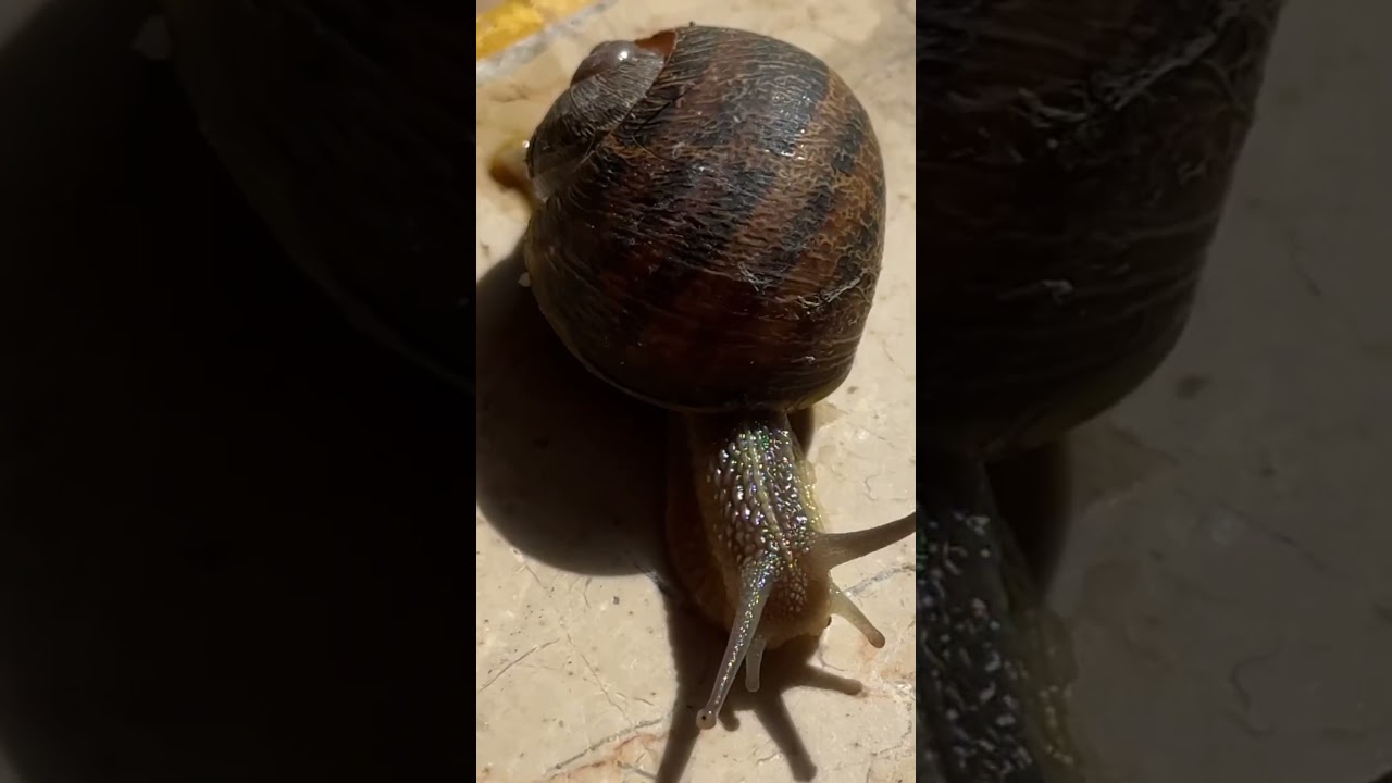 Как вам такая Турция? 