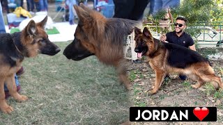 Jordan’s First Dog Show