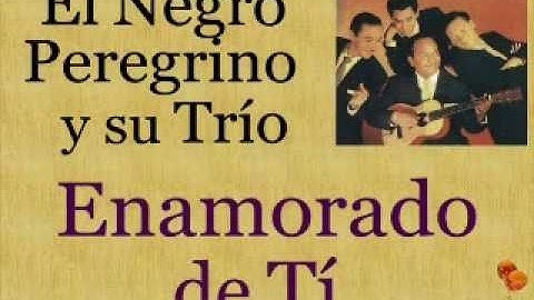 El Negro Peregrino y su Trío:  Enamorado de Tí  -  (letra y acordes)