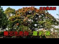 蕭鈞黛 16 難忘也是你 來家樂隊現場伴奏 2021 03 21 蕭鈞黛 16 難忘也是你 來家樂隊現場伴奏 2021 03 21