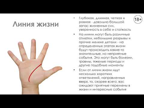 Линии на правой руке у женщины