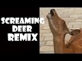 Screaming Deer - Remix Compilation