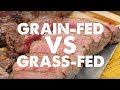 Is Grass Fed tastier than Grain Fed? Comparing the taste in a Steak Cook-off