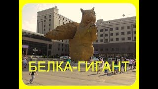 Белка- Гигант в Алматы /Прогулка по парку Атакент/