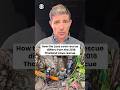 How the Laos cave rescue differs from the 2018 Thailand cave rescue #shorts