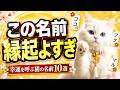 【あなたの猫は入ってる?】実は幸運を呼ぶ猫の名前10選