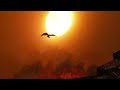 【UFC】第2章：文明の夜明け――Early Civilizations