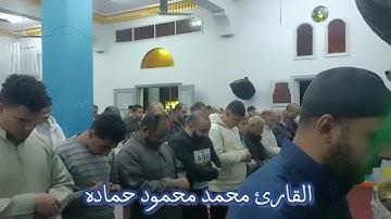 قراءة كردية سورة البروج || تراويح رمضان 1445