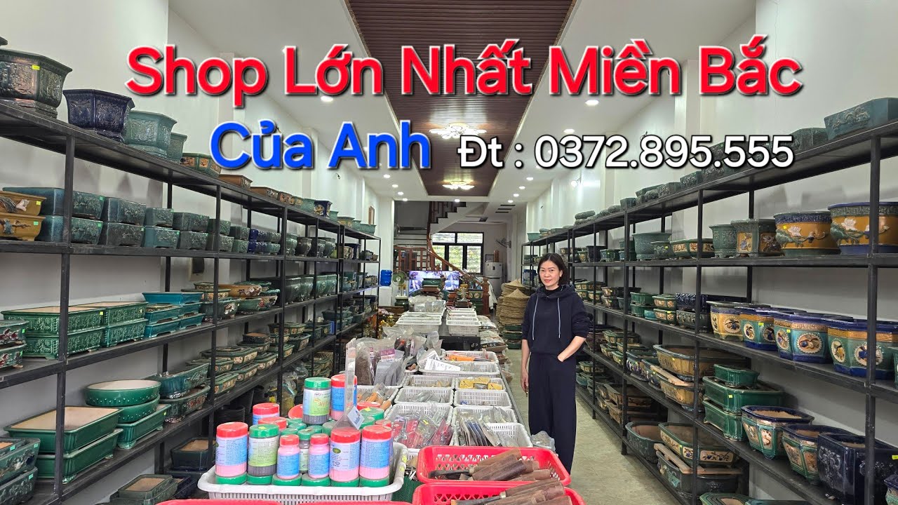 RẤT NHIỀU MẪU CHẬU Bonsai ĐẸP tại cơ sở chậu CỦA ANH - TP HƯNG YÊN - ĐT : 0372895555 .